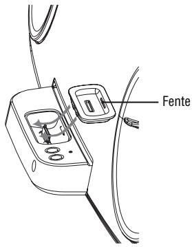 Fente