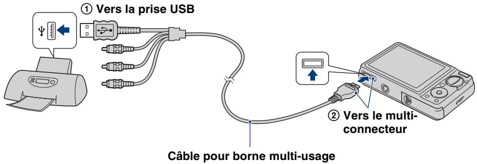 ① Vers la prise USB ② Vers le multi- connecteur Câble pour borne multi-usage