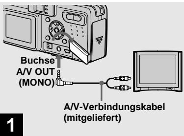 SONY DSC-P10 - Bildwiedergabe auf einem Fernsehschirm - 1