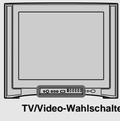 SONY DSC-P10 - Bildwiedergabe auf einem Fernsehschirm - 2