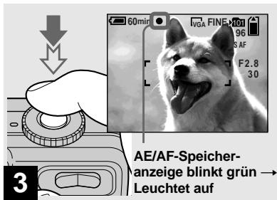 SONY DSC-P10 - Grundlegende Standbild-Aufnahme (im Automatikmodus) - 3