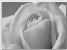 SONY DSC-P10 - DSC-P10/P12 - 1