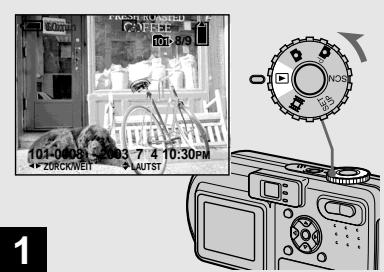 SONY DSC-P10 - Einzelbildwiedergabe - 1