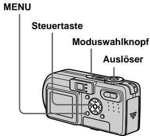 SONY DSC-P10 - Aufnehmen von Standbildern mit Tondateien - 1