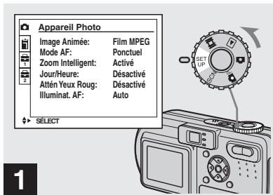 SONY DSC-P10 - Horodatage d'une image fixe - 1