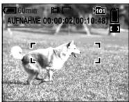 SONY DSC-P10 - Drucken Sie den Auslöser ganz durch. - 1