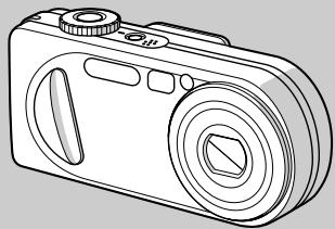 SONY DSC-P10 - 1