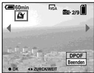 SONY DSC-P10 - Im Einzelbild-Modus - 1