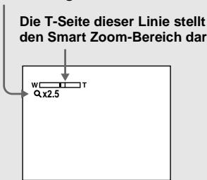 SONY DSC-P10 - Smart Zoom - 1