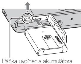 SONY CYBER-SHOT DSC-HX7V - Megjegyzés - 4