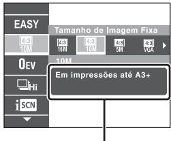 SONY CYBER-SHOT DSC-WX10 - Introdução de outras funções - 2