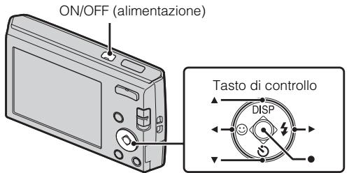 ON/OFF (alimentazione) Tasto di controllo DISP