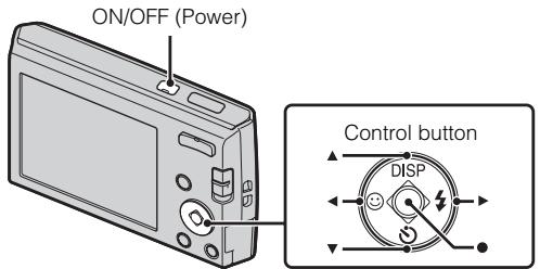 ON/OFF (Power) Control button DISP