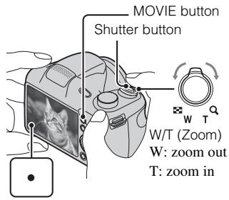 SONY CYBER-SHOT DSC-H300 - Shooting still images/movies - 6