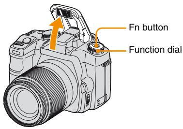 SONY ALPHA DSLR-A100 - Using the flash - 1