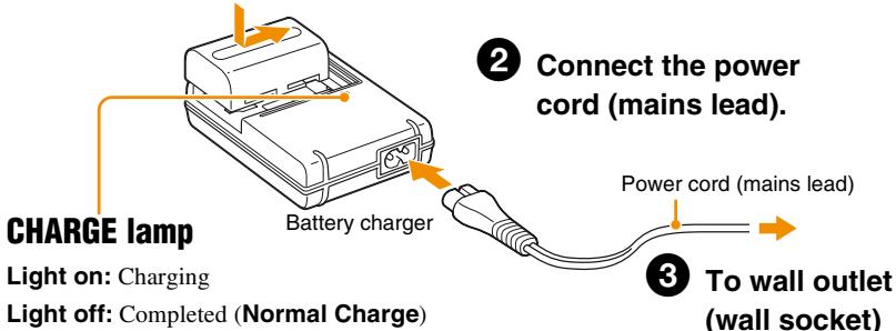 SONY ALPHA DSLR-A100 - Insert the battery pack. - 1