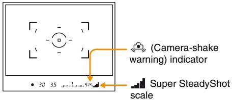 SONY ALPHA DSLR-A100 - Super SteadyShot function - 2