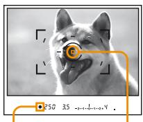 SONY ALPHA DSLR-A100 - Shoot with the shutter button. - 2