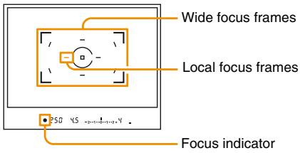 SONY ALPHA DSLR-A100 - Focus - 1