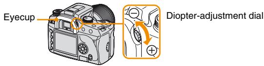 SONY ALPHA DSLR-A100 - Adjusting the diopter - 1