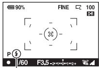 SONY ALPHA 350 - Une fois que le flash est complètement chargé, photographiez le sujet. - 1