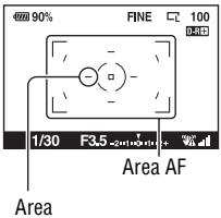 SONY ALPHA 350 - Selezione dell'area di messa a fuoco (area AF) - 1