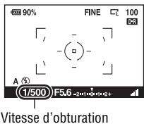 SONY ALPHA 350 - Effectuez la mise au point et prenez le sujet. - 1