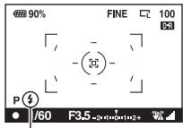SONY ALPHA 350 - Quando la carica del flash è stata completata, effettuare la ripresa del soggetto. - 1