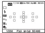 SONY A65 - Commutazione della visualizzazione di informazioni sulla registrazione (DISP) - 3
