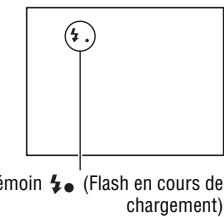 SONY A65 - Une fois que le flash a terminé de charger, photographiez le sujet. - 1