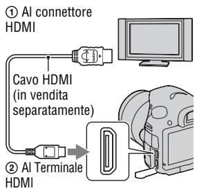SONY A65 - Visualizzazione delle immagini su uno schermo tevisivo - 1