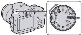 SONY A65 - Prise de vue avec les divers modes de prise de vue - 1