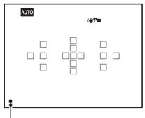 SONY A65 - Premere a metà il pulsante di scatto perMETTERa fuoco. - 2