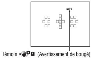 SONY A77 - Témoin de bouge de l'appareil - 1