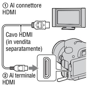 SONY A77 - Visualizzazione delle immagini su uno schermo tevisivo - 1