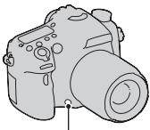 SONY A77 - Per controllare la sfocatura dello sfondo (tasto di anteprima) - 1