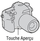SONY A77 - Pour contrôler le flou de l'arrière-plan (touche Aperçu) - 1
