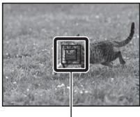 SONY A77 - Alignez le cadre cible sur le sujet à suivre, puis appuyez au centre du multi-sélecteur. - 1