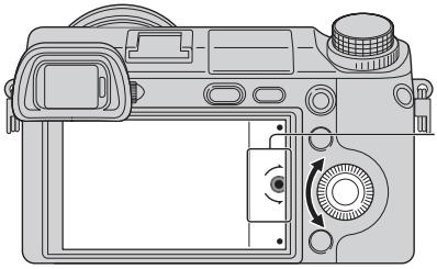 SONY NEX-6B - Besturingspiel - 1