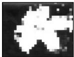 SONY CCD-TR317E - PASTEL[a]: - 4