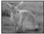 SONY CCD-TR640E - Bb6opФyHKcNn BVeJeHn/ BbVeJeHn n306paXeHn - 5