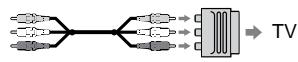 SONY CCD-TR640E - EcIn B BaWeM TB/KBM nmeTeTc 21- TbipbKobbl pa3bem (EUROCONNECTOR) - 3
