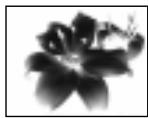 SONY CCD-TRV25 - Selecting picture effect - 2