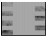 SONY CCD-TRV25 - Selecting the fader function - 9