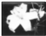 SONY CCD-TRV25 - Selecting picture effect - 3