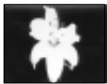 SONY CCD-TRV25 - Selecting picture effect - 5