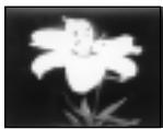 SONY CCD-TRV25 - Selecting picture effect - 6