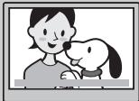 SONY DCR-DVD905E - You can find a scene quickly using a VISUAL INDEX screen.(p.34, 40) - 2