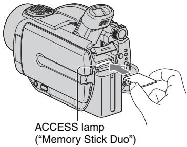ACCESS lamp ("Memory Stick Duo")