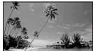 SONY DCR-DVD905E - BEACH&SKI\*(7) - 1